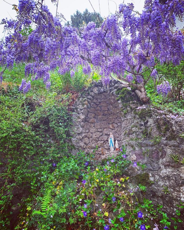 La Mansarda Di Casa Vacanze La Vite Bordogna Exterior foto
