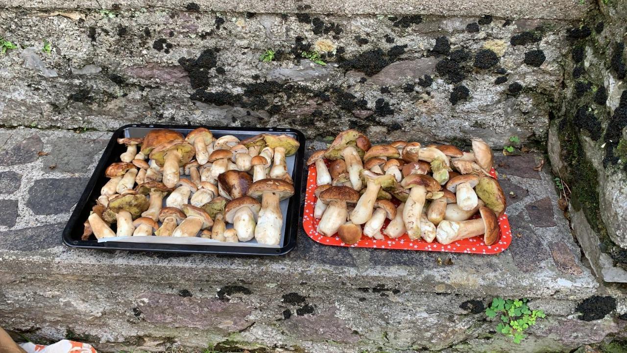 La Mansarda Di Casa Vacanze La Vite Bordogna Exterior foto